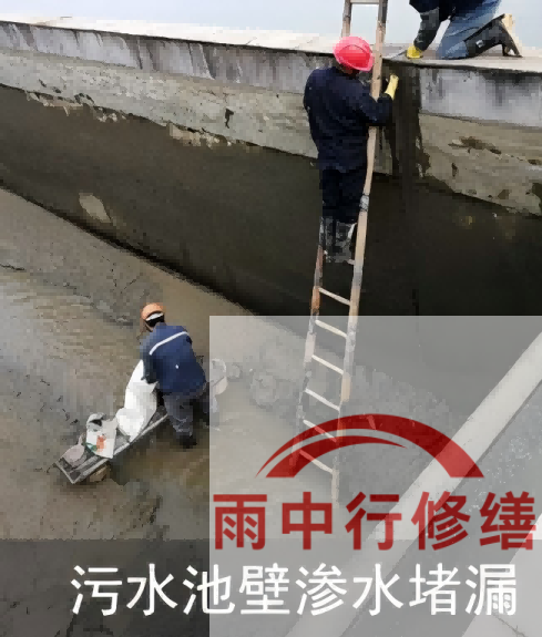 南平2026年防水龙头半月两次涨价，行业格局重塑信号